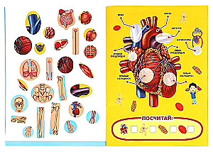 Тело человека. Большая книга с наклейками