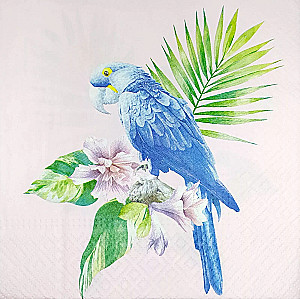 Салфетки Exotic Parrot, 33x33 см, 20 штук