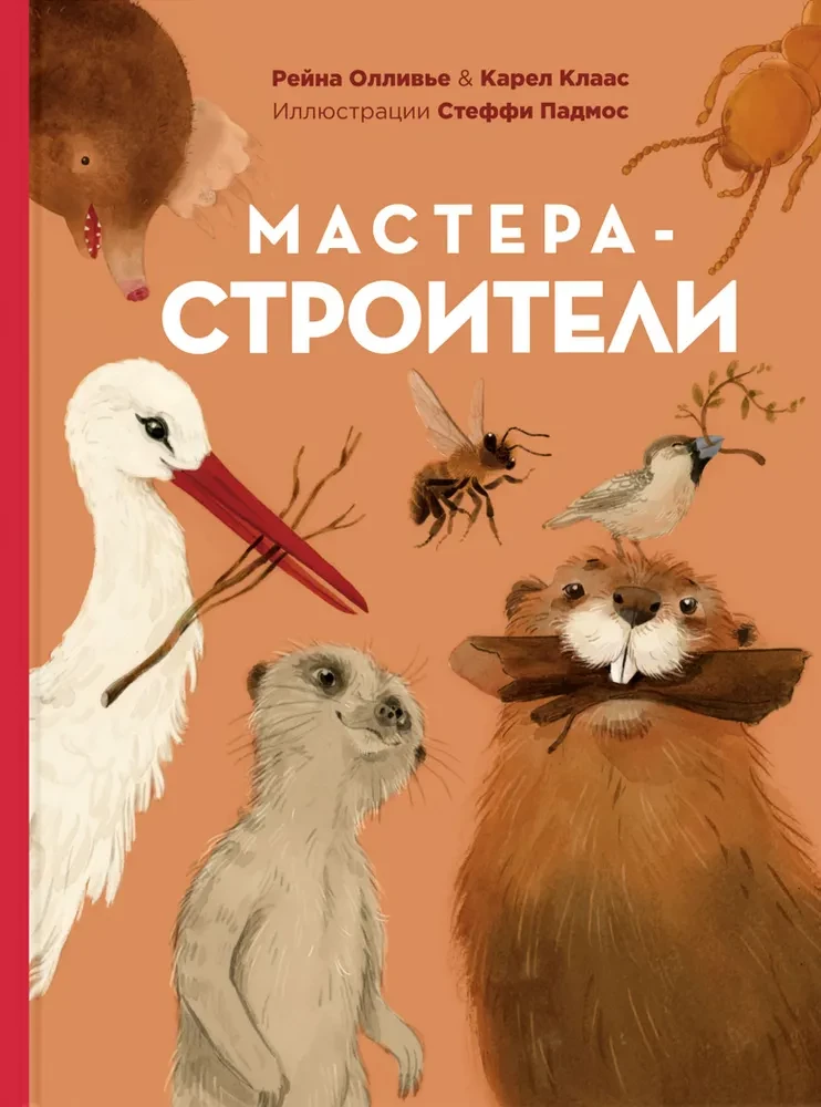 Мастера-строители