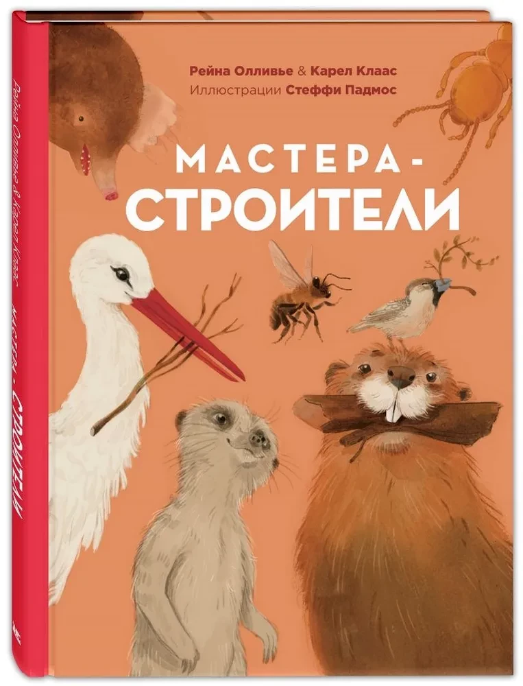 Мастера-строители