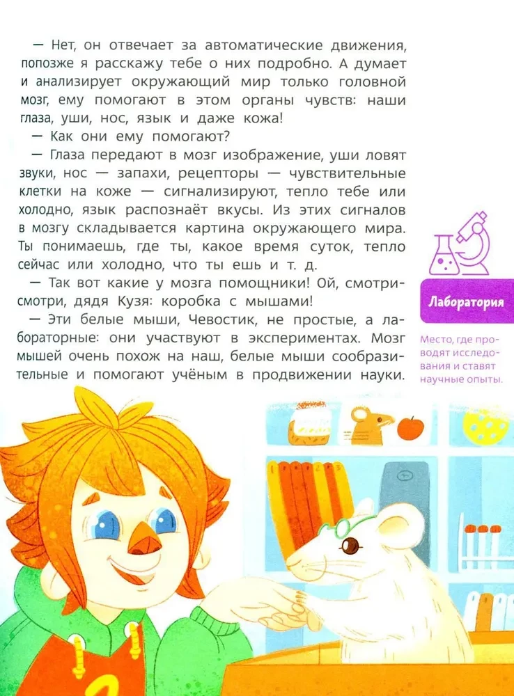 How the Brain Works. Children's Encyclopedia (Chevostik)