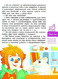 How the Brain Works. Children's Encyclopedia (Chevostik)