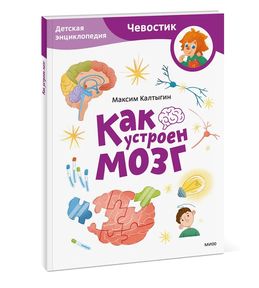 How the Brain Works. Children's Encyclopedia (Chevostik)