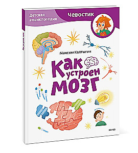 How the Brain Works. Children's Encyclopedia (Chevostik)