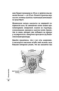 Страсти по щитовидке. Аутоиммунный тиреоидит, гипотиреоз: почему иммунитет работает против нас?