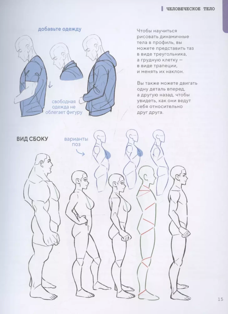 Как рисовать персонажей. Коллекция из 200+ референсов и подсказок по рисунку человека