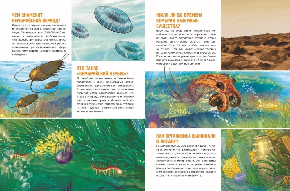 Prehistoric Pioneers. Issue 1. The Mystery of the Cambrian and Ordovician