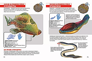 Prehistoric Pioneers. Issue 1. The Mystery of the Cambrian and Ordovician