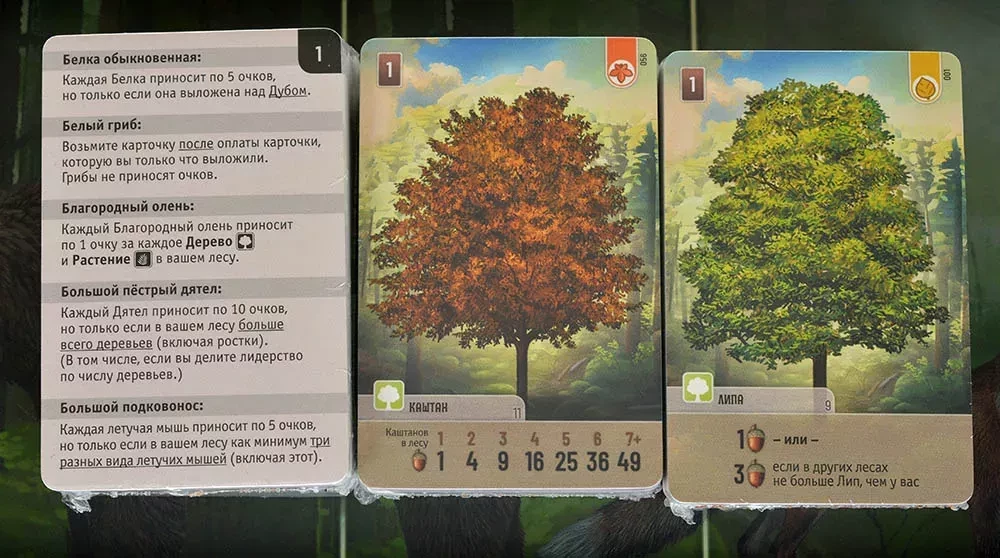 Board Game - Mixed Forest