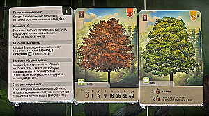 Board Game - Mixed Forest