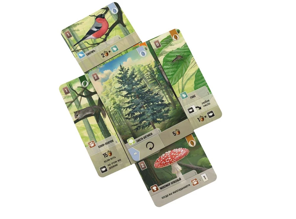 Board Game - Mixed Forest