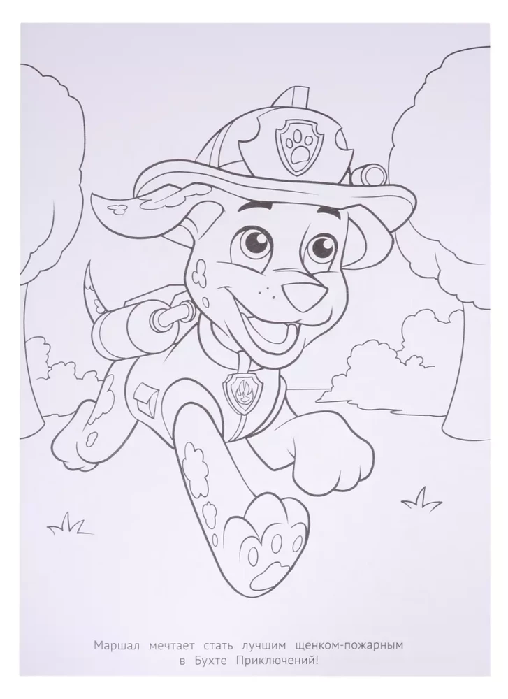 Luxury Coloring N RL 2005 "Paw Patrol"