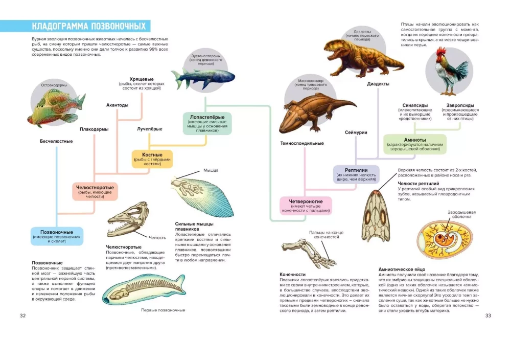 Prehistoric Pioneers. Episode 2. Waters of the Silurian and Devonian