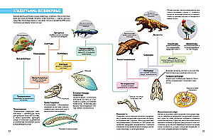 Prehistoric Pioneers. Episode 2. Waters of the Silurian and Devonian