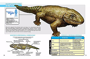 Prehistoric Pioneers. Episode 2. Waters of the Silurian and Devonian