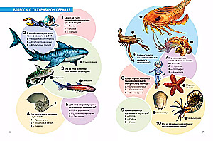 Prehistoric Pioneers. Episode 2. Waters of the Silurian and Devonian