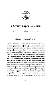 Кашемировая книга. Теплые истории, которые согреют душу и отвлекут от забот