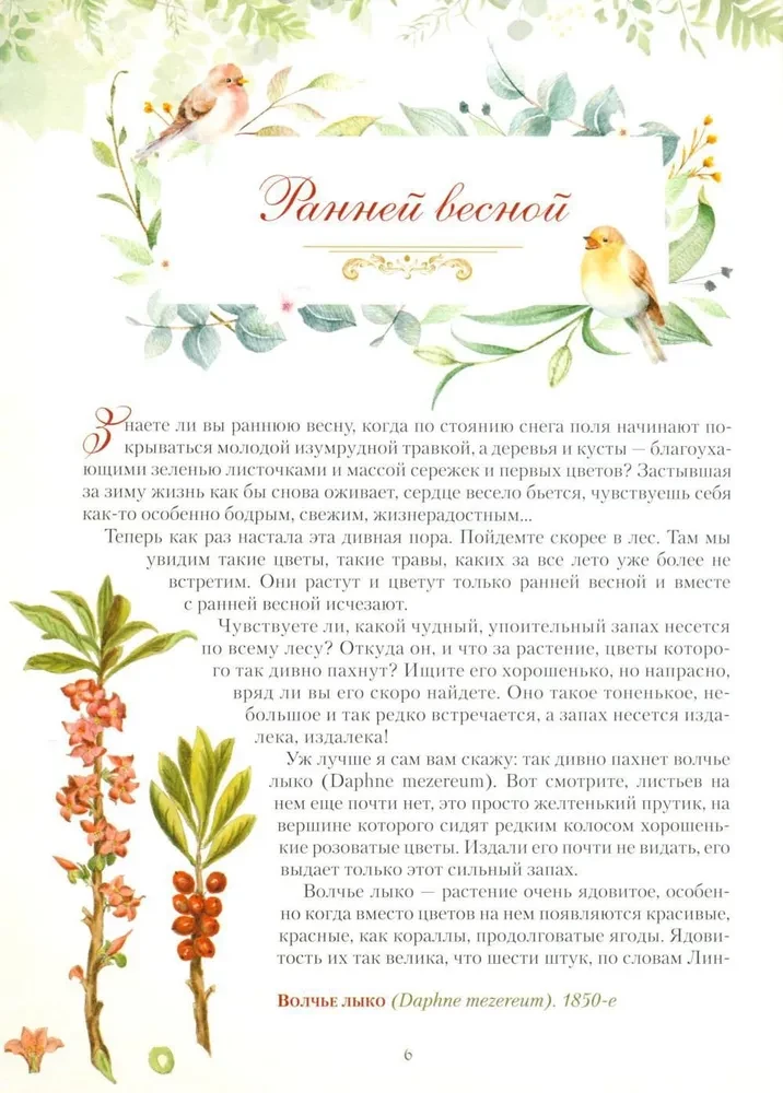 Gifts of the Russian Forest. Mushrooms, Berries and Medicinal Plants