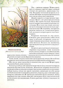 Gifts of the Russian Forest. Mushrooms, Berries and Medicinal Plants