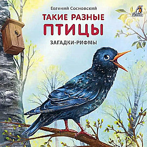 Такие разные птицы. Загадки - рифмы