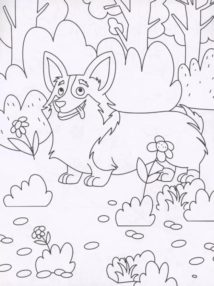 Coloring Book with Stickers. Animals