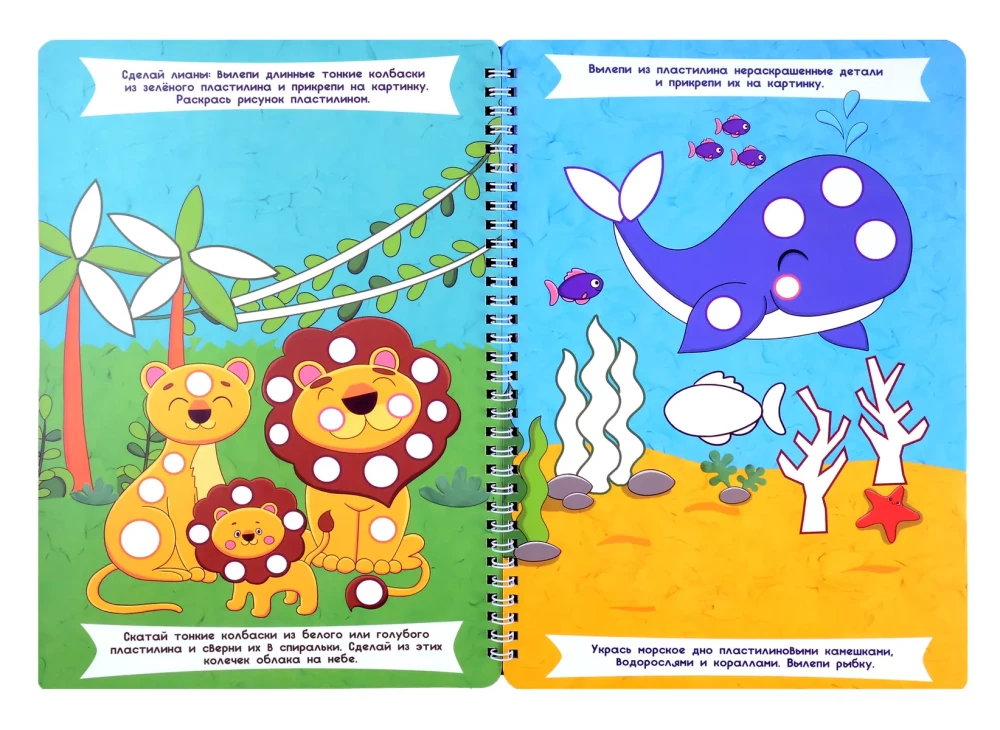 Molding with Plasticine. For Girls. Workbook with Tasks