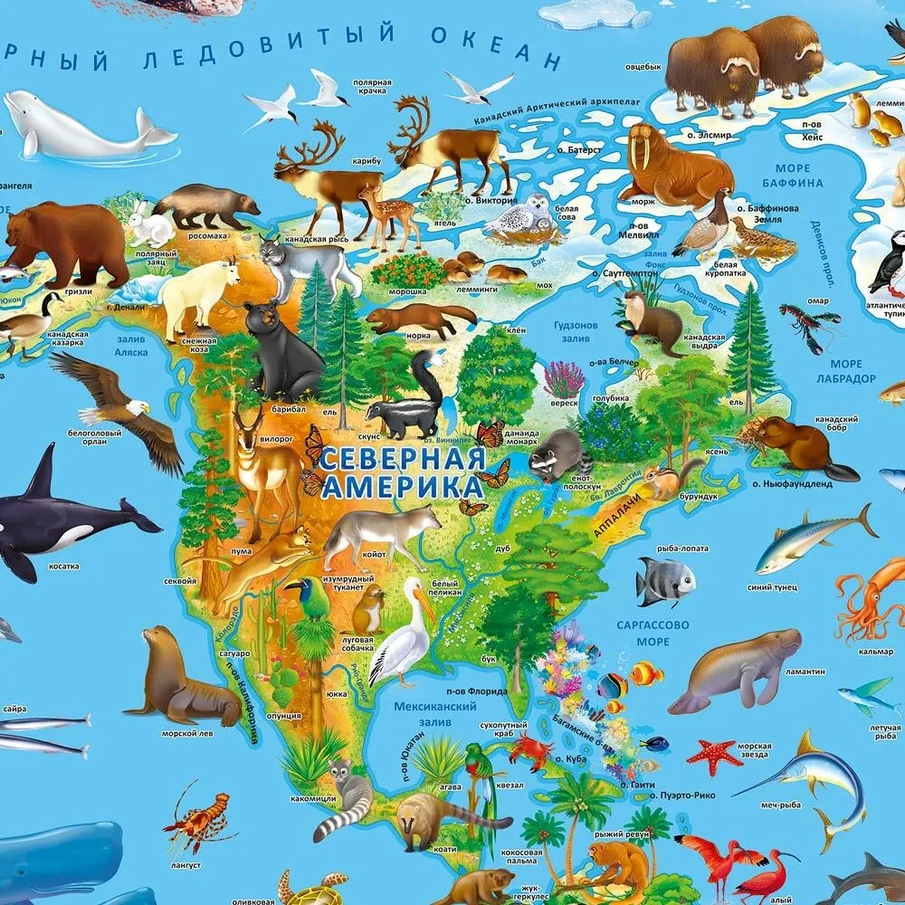 World Map for Children. Our Planet, Animal and Plant World