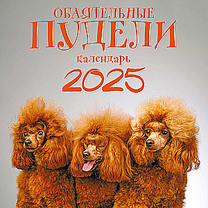 Charming Poodles. Wall Calendar for 2025 (300x300)