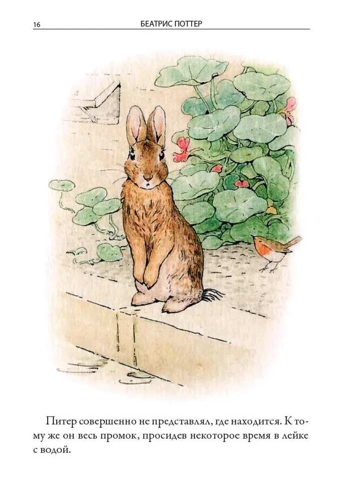 All Stories About Peter Rabbit