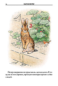 All Stories About Peter Rabbit