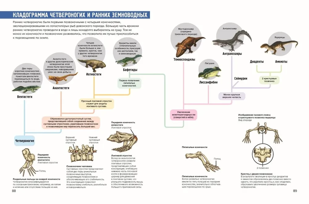 Prehistoric Pioneers. Carbon and Permian Giants. Issue 3