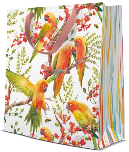 Gift bag - Exotic birds (20x25x10)