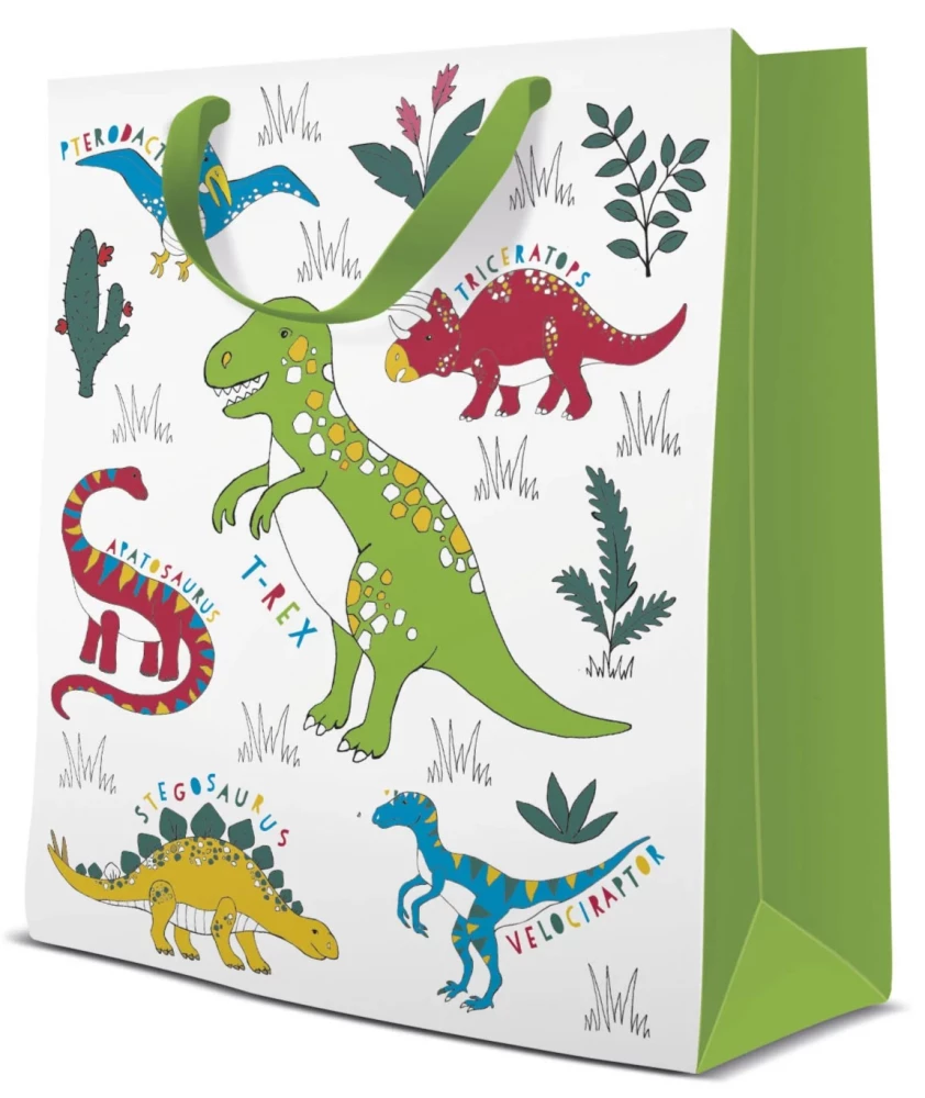 Gift bag - Dinosaur (20x25x10)