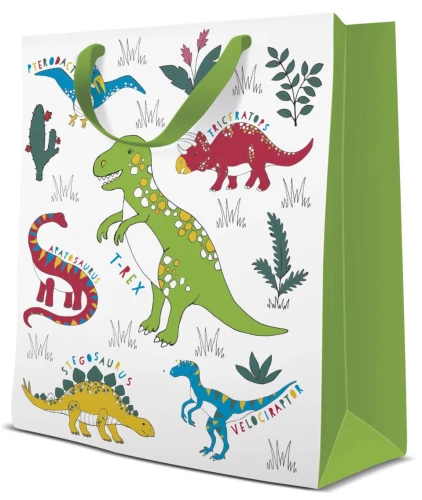 Gift bag - Dinosaur (20x25x10)