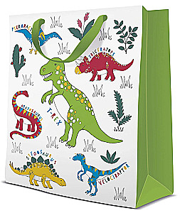 Gift bag - Dinosaur (20x25x10)