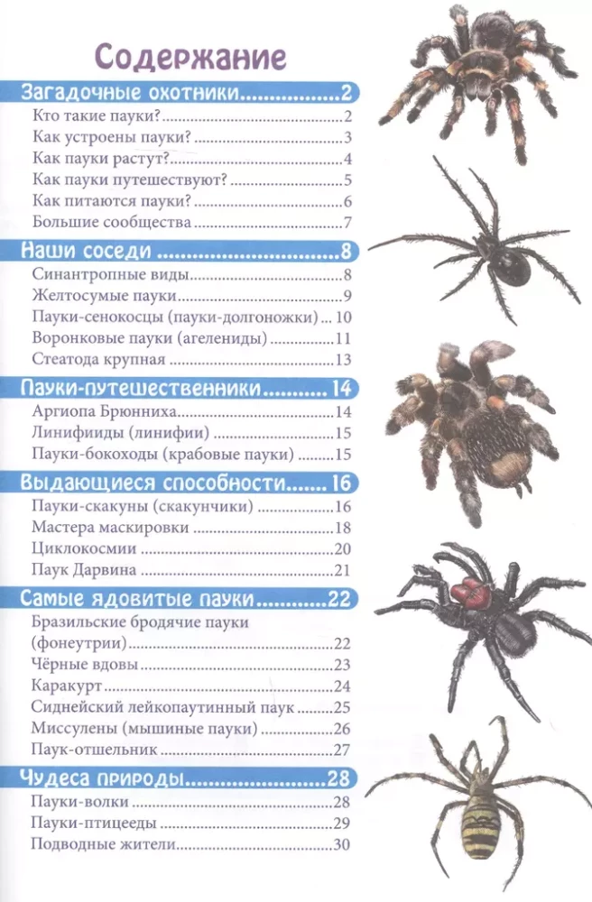 In the World of Knowledge. Spiders