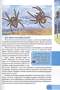 In the World of Knowledge. Spiders