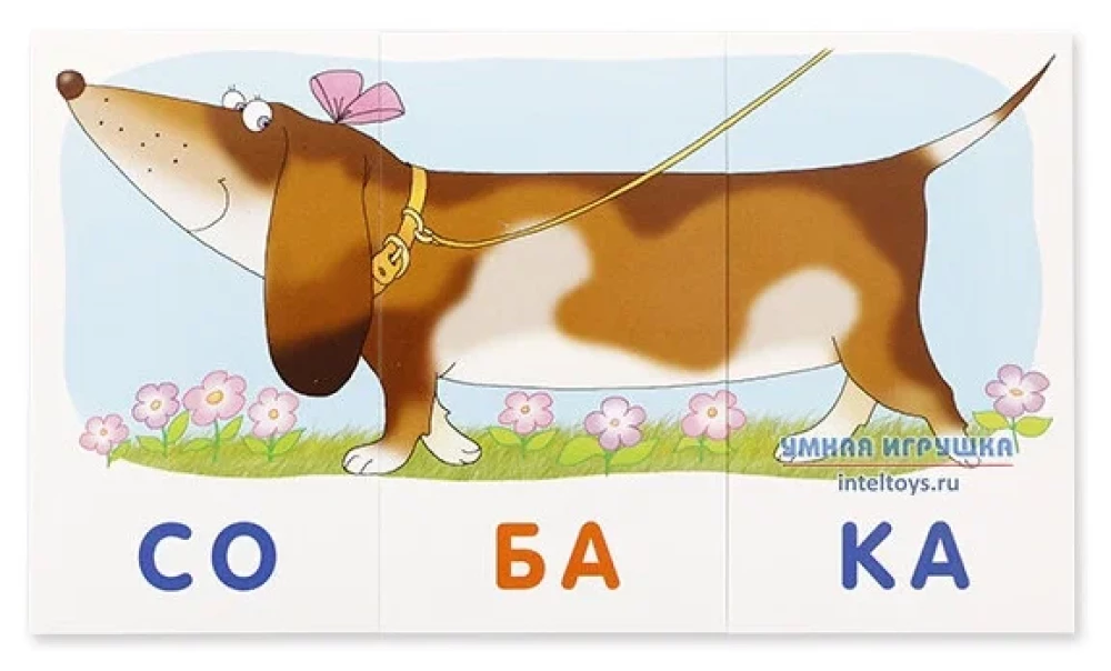 Card Set - Dog. Reading by Syllables