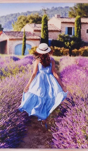 Painting by Numbers - Lavender