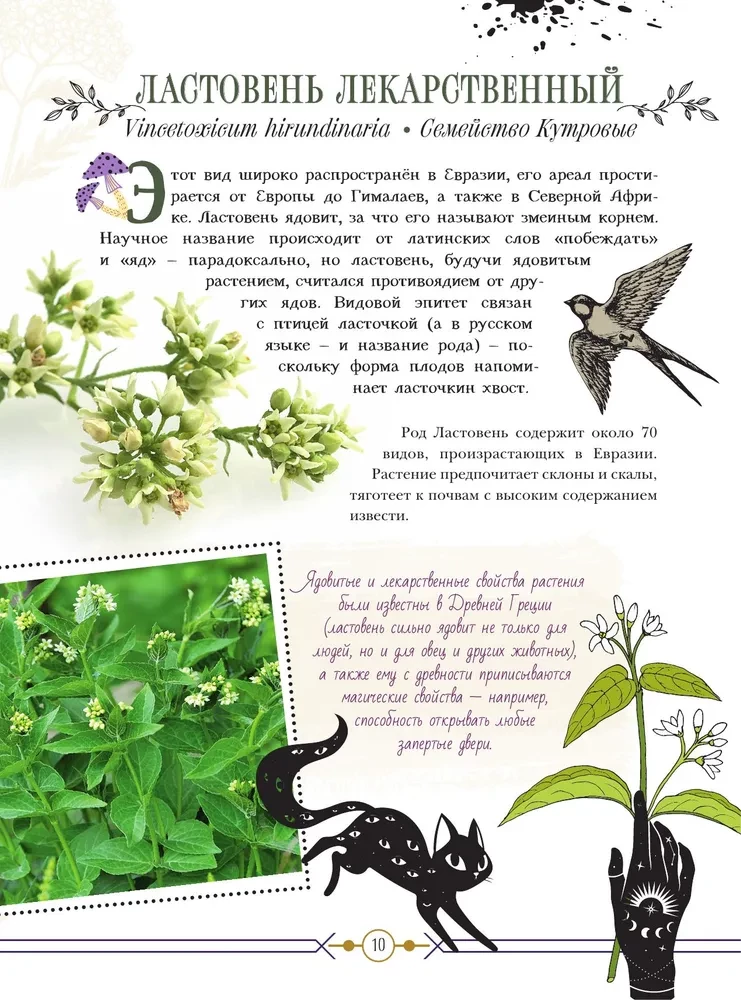 Dangerous Plants. From Poisonous to Allergenic