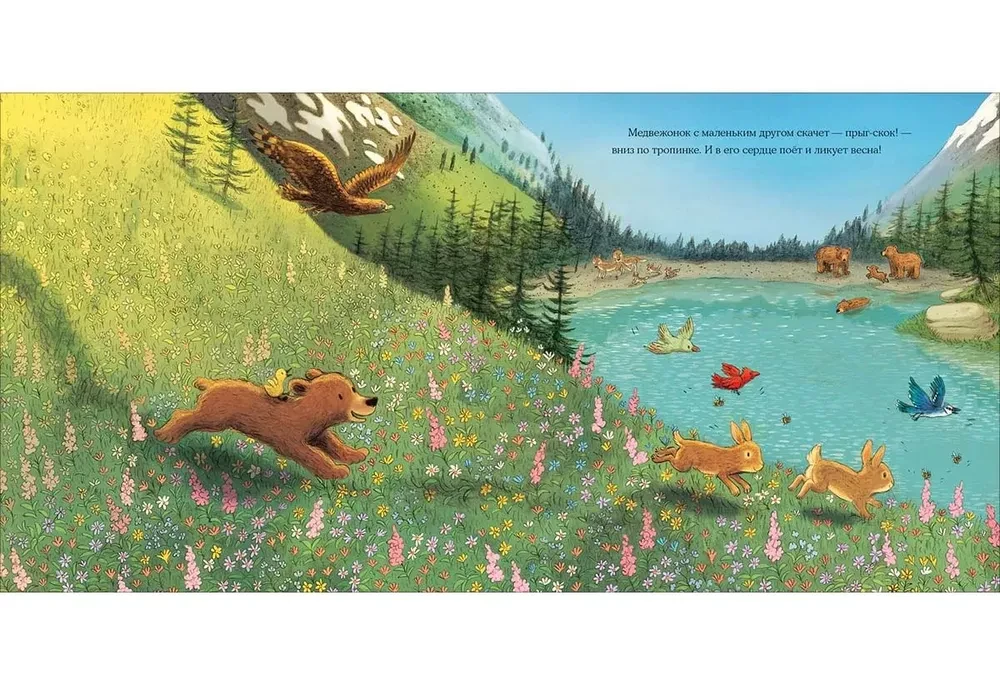 Spring of the Little Bear