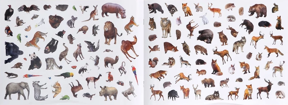 Sticker Book 500 Stickers. Animals