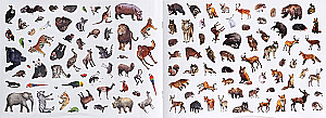 Sticker Book 500 Stickers. Animals