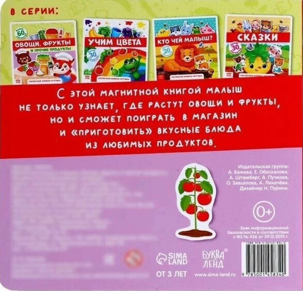 Magnetic Toy Book - Vegetables, Fruits and Other Products