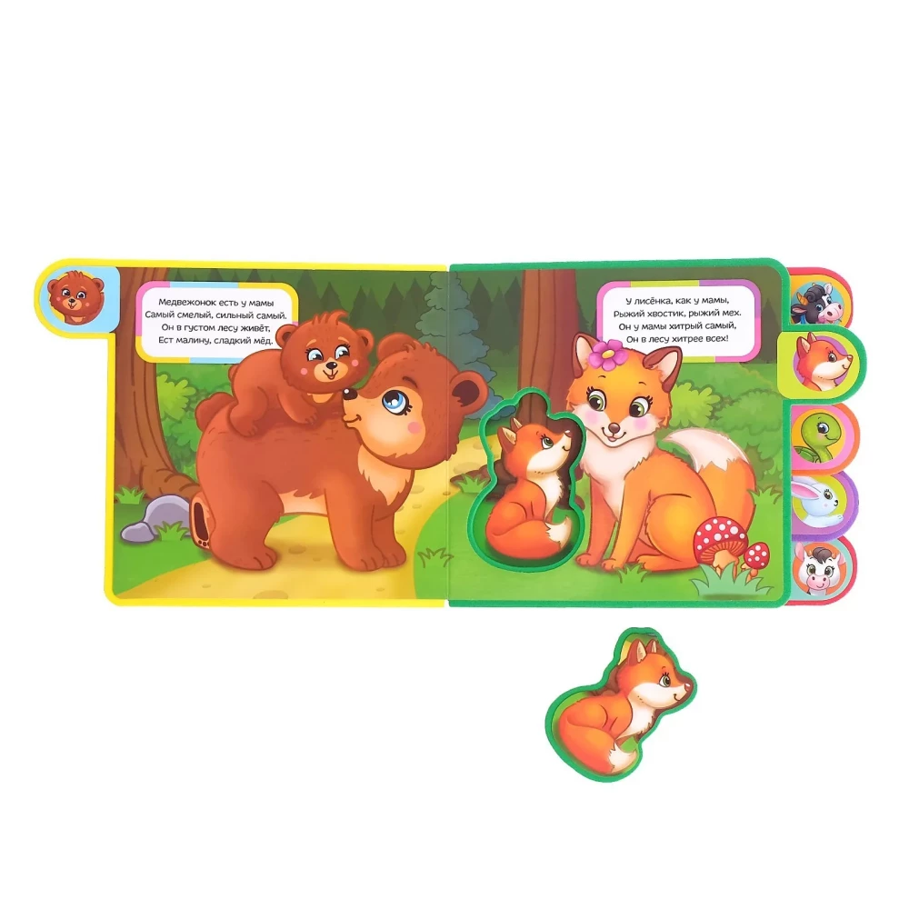 EVA Puzzle Book - Who is whose baby?