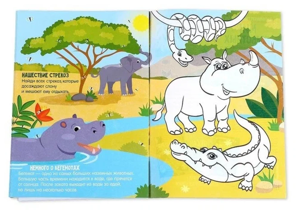 Superactivity Book with Growing Toy - World of Animals