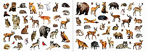 250 Stickers. Farm and Forest Animals