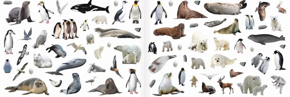 250 Stickers. Animals from Around the World