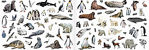 250 Stickers. Animals from Around the World