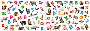 250 Stickers. Alphabet